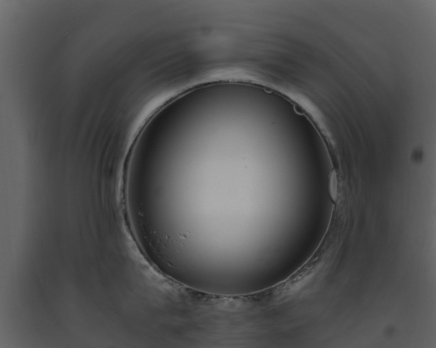 X0000093460815200710191122