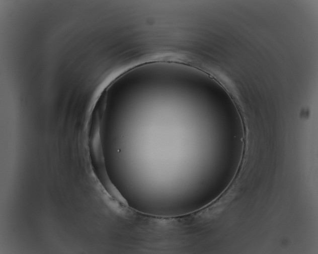 X0000093460816200710191122