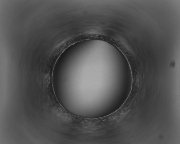 X0000093460821200710191122