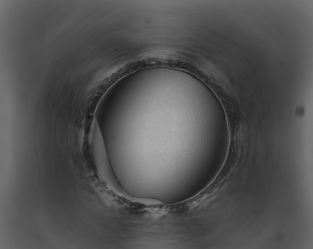 X0000093460822200710191122