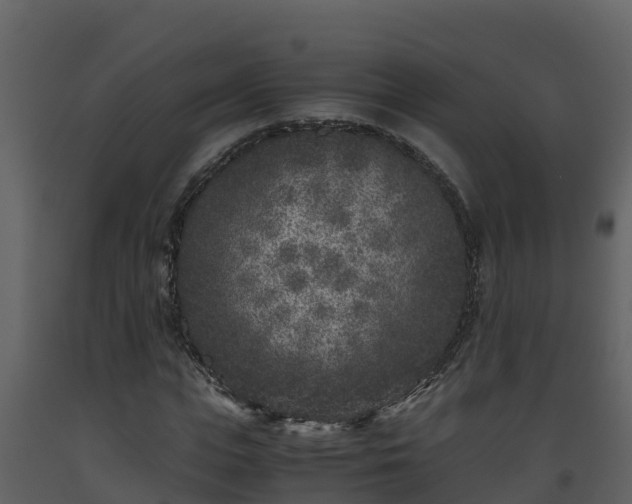 X0000093460823200710191122