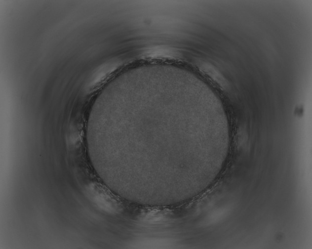 X0000093460824200710191122