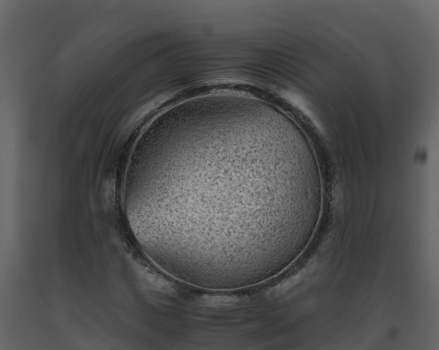 X0000093460825200710191122