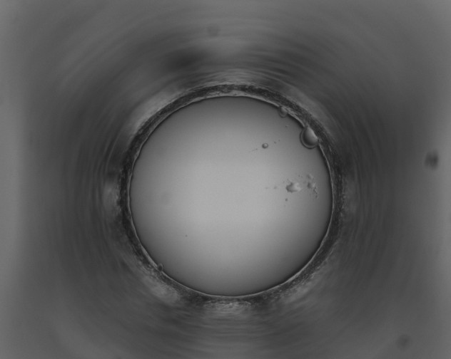 X0000093460826200710191122