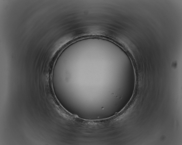 X0000093460827200710191122