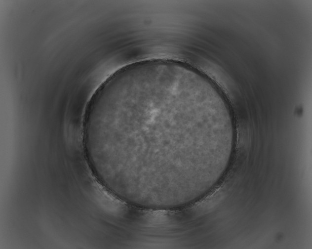 X0000093460828200710191122