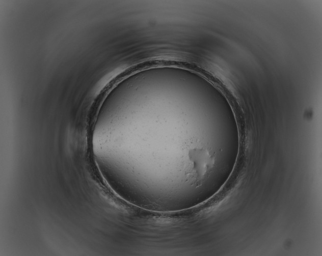 X0000093460829200710191122