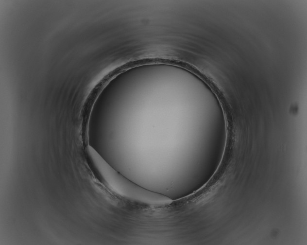 X0000093460830200710191122