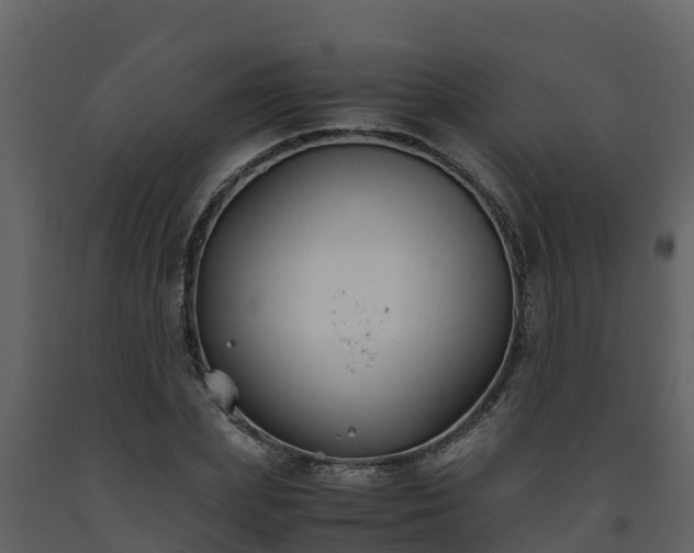 X0000093460831200710191122