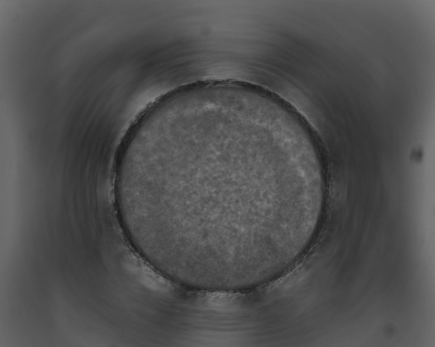 X0000093460832200710191122