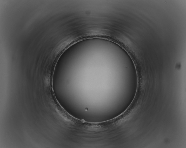 X0000093460833200710191122