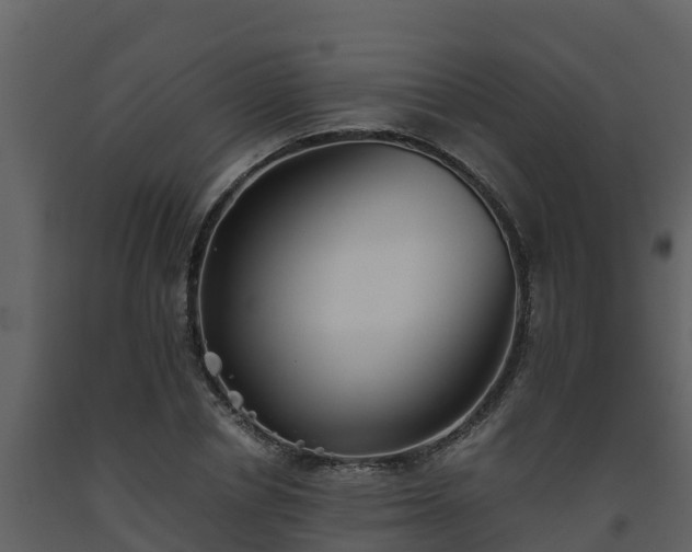 X0000093460834200710191122