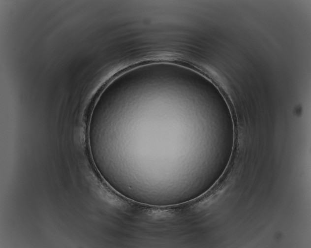 X0000093460835200710191122