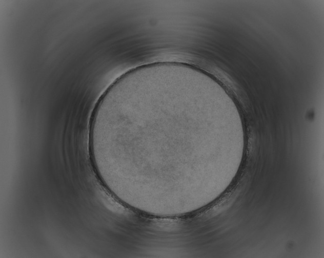 X0000093460836200710191122