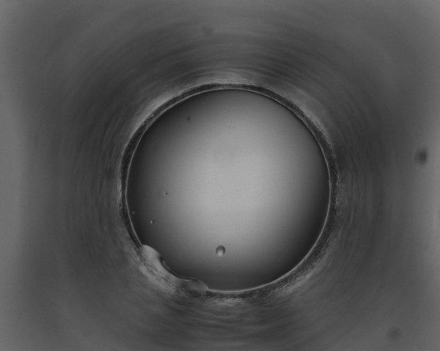 X0000093460837200710191122