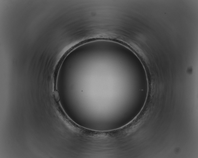 X0000093460838200710191122