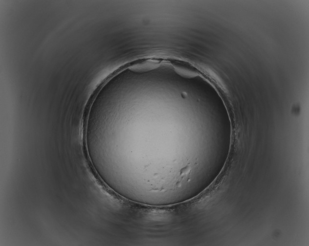 X0000093460839200710191122