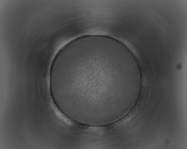 X0000093460840200710191122