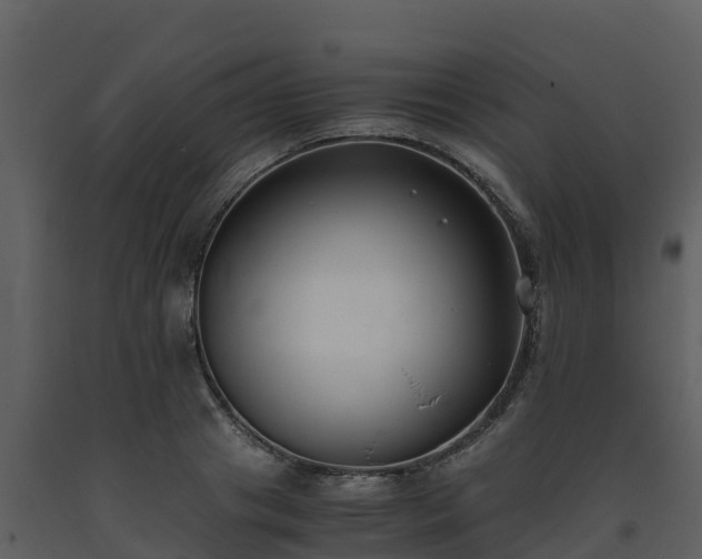 X0000093460841200710191122