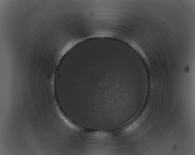 X0000093460842200710191122