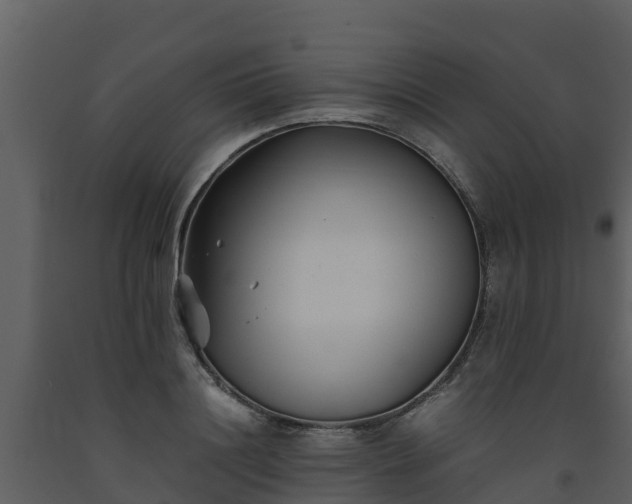 X0000093460844200710191122