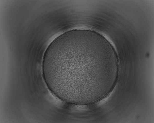 X0000093460845200710191122