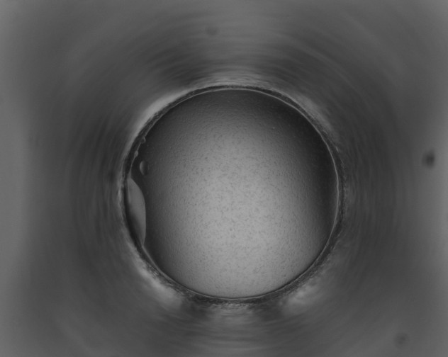 X0000093460846200710191122