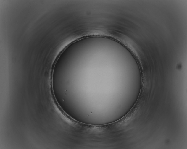 X0000093460847200710191122