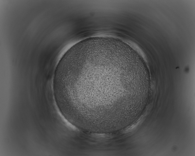 X0000093460855200710191122