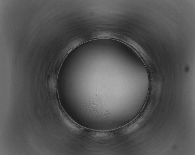 X0000093460857200710191122