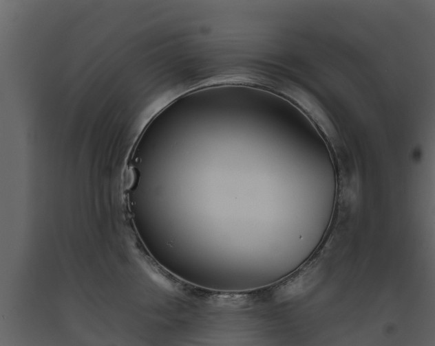 X0000093460858200710191122