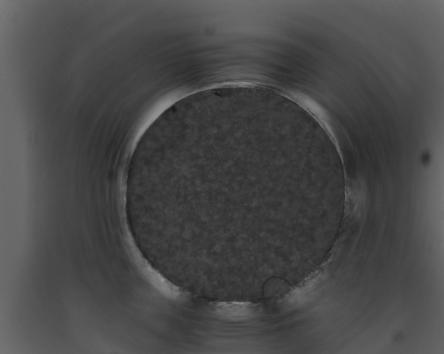 X0000093460859200710191122