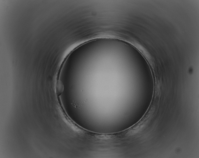 X0000093460862200710191122