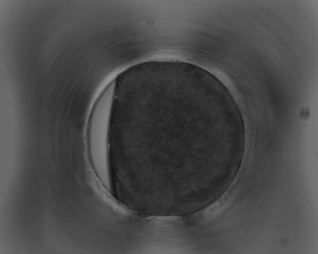 X0000093460864200710191122