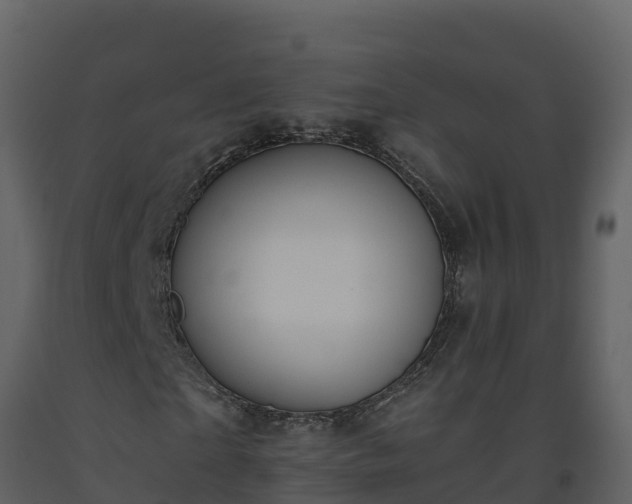 X0000093460865200710191122