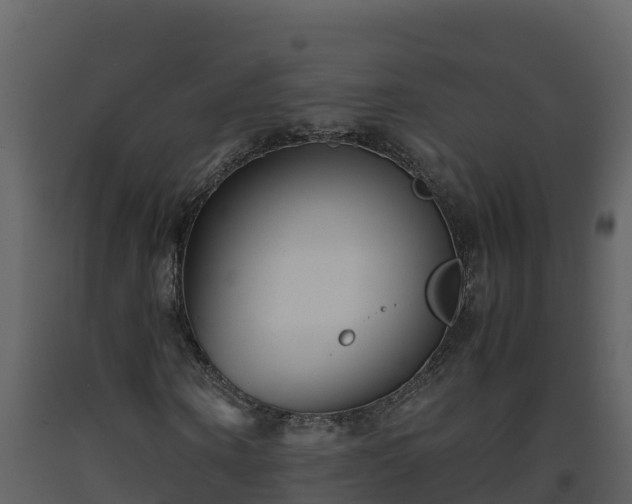 X0000093460866200710191122