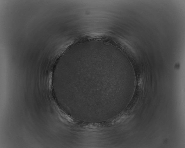 X0000093460868200710191122