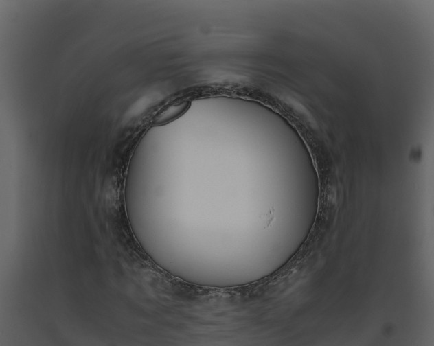 X0000093460869200710191122