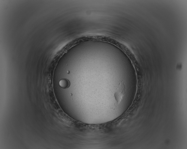 X0000093460871200710191122