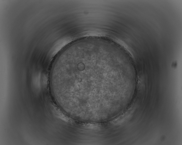 X0000093460874200710191121