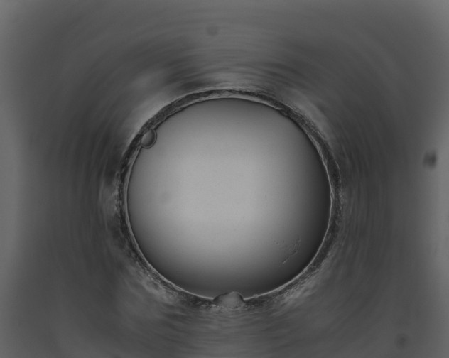 X0000093460875200710191121