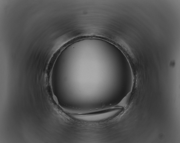 X0000093460876200710191121