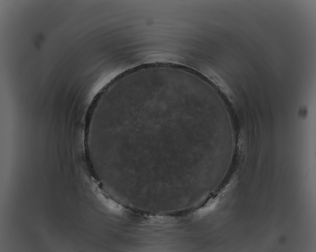 X0000093460877200710191121