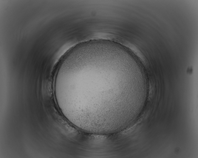 X0000093460878200710191121