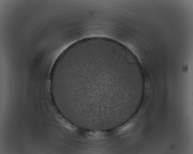 X0000093460879200710191121