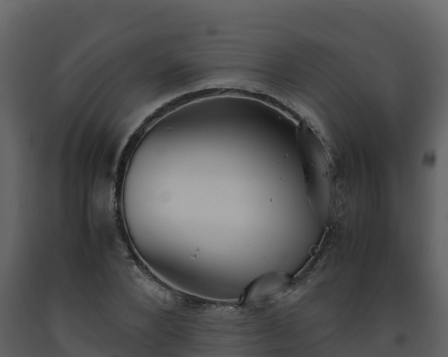 X0000093460880200710191121