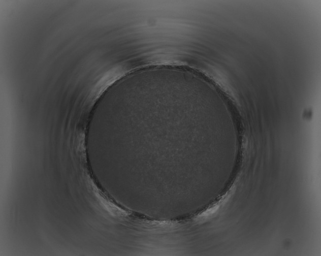 X0000093460881200710191121