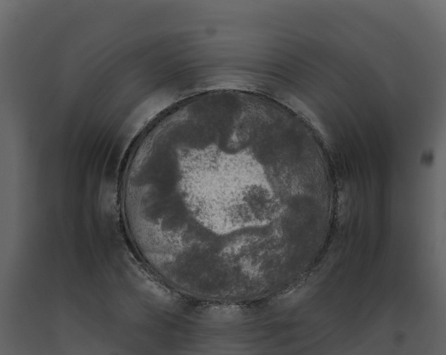 X0000093460882200710191121