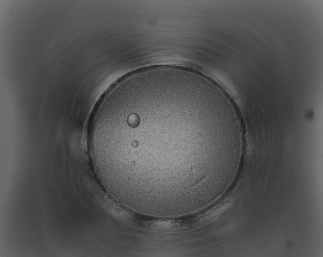 X0000093460883200710191121