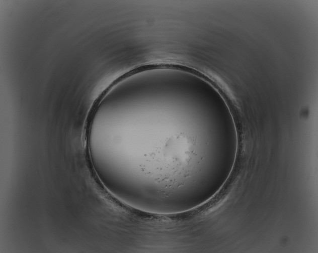 X0000093460885200710191121